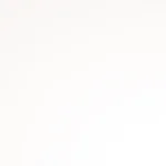 1298 Gloss